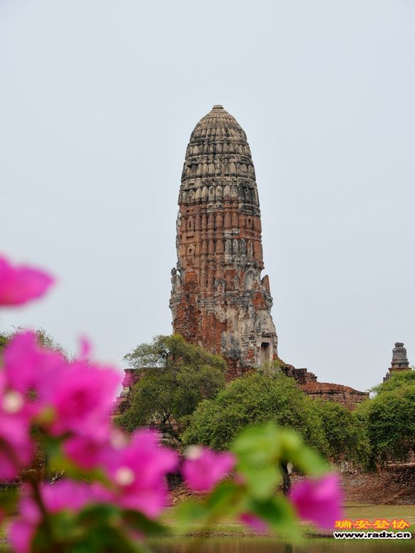 2012.3.24-4.2泰国行 1801.jpg