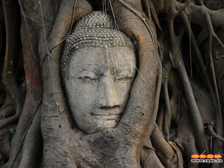 2012.3.24-4.2泰国行 2069.jpg