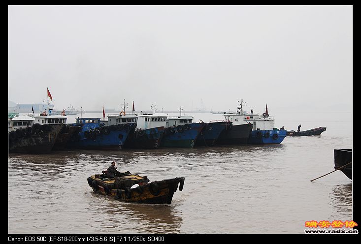 白天的沈家门海景。