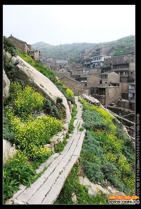 美丽的村庄，鸟语花香。