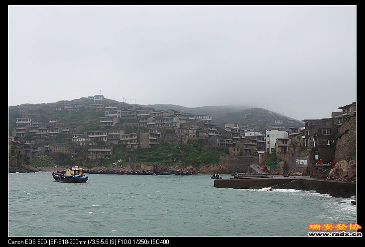 东极岛除了人是养殖的，其他生物都是野生的。