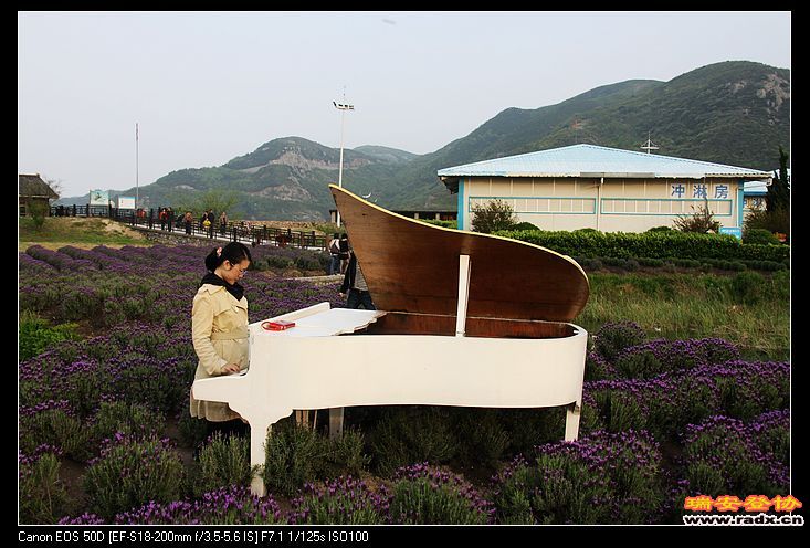 财胜金融（孙立霞）13671514056 021-50122354 qq:185726132