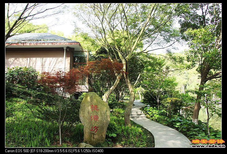 真是桃花源啊！