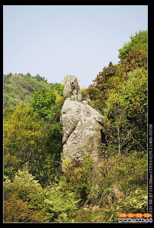神雕石，这个角度不是很像。
