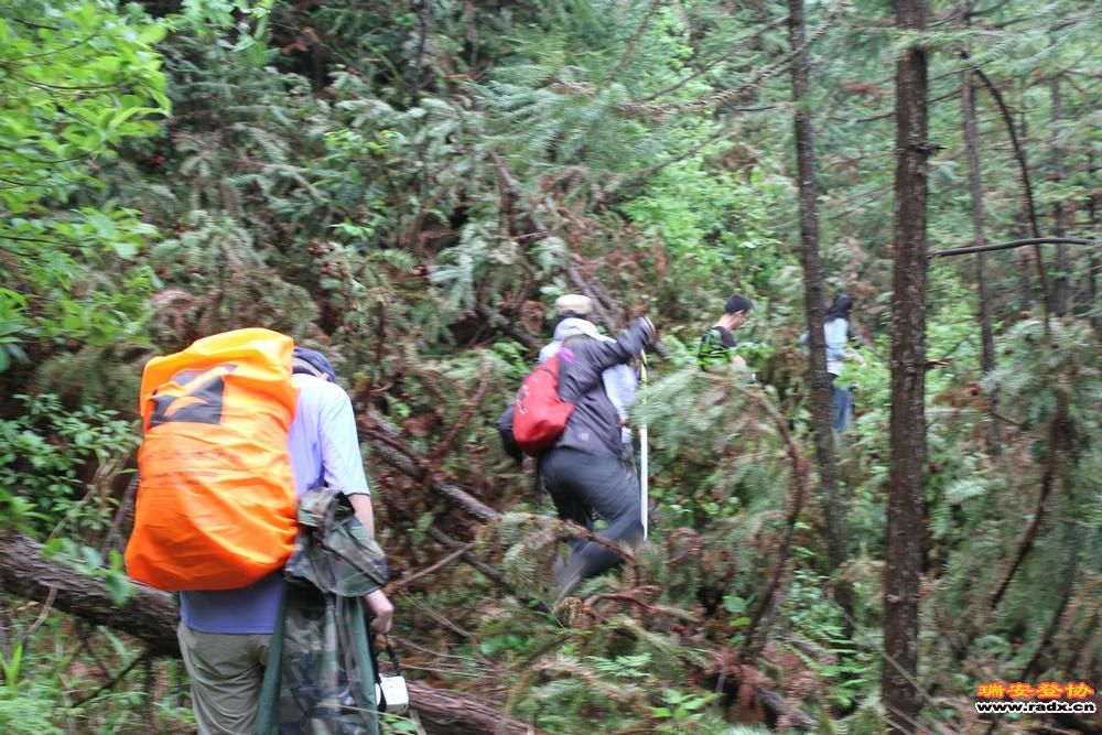 徽开古道 122.jpg