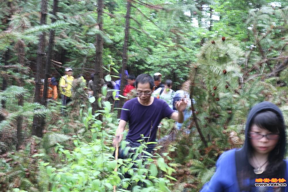 徽开古道 125.jpg