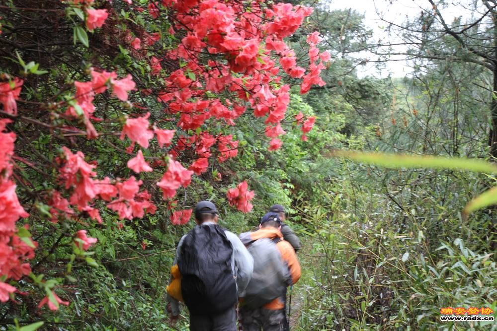 徽开古道 150.jpg