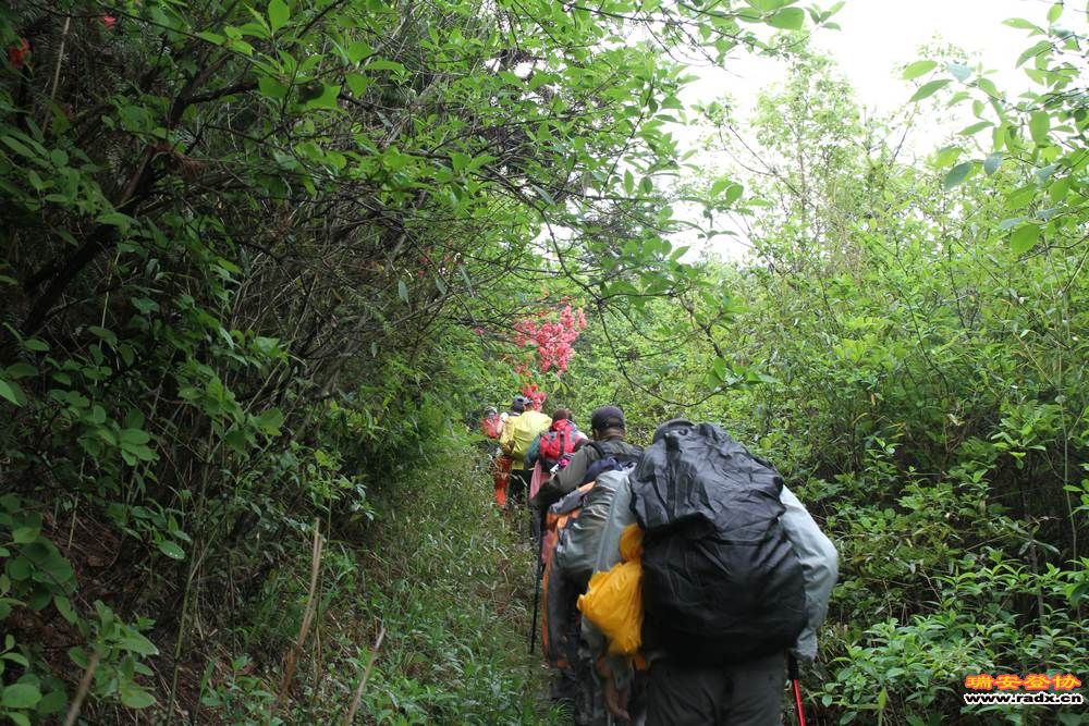 徽开古道 154.jpg