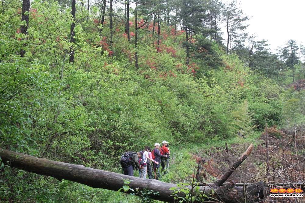 徽开古道 190.jpg