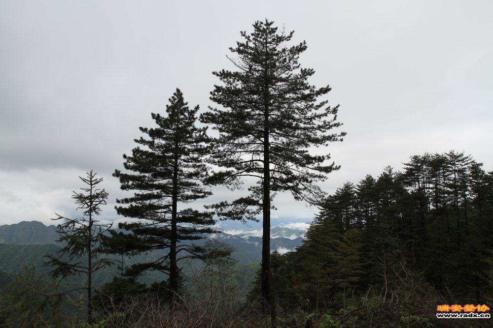 徽开古道 191.jpg