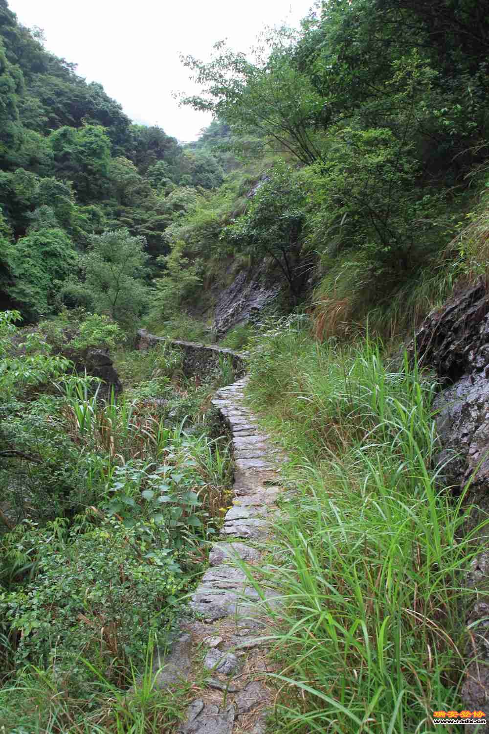 永嘉金坑穿越 069.jpg