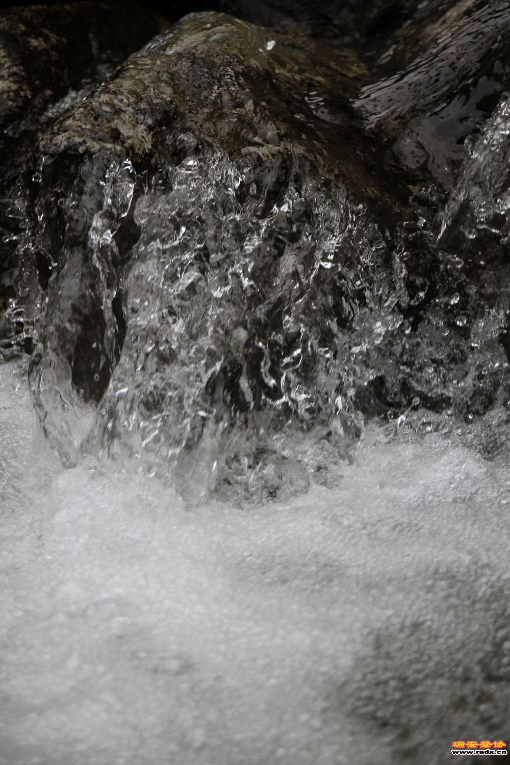 永嘉金坑穿越 083.jpg