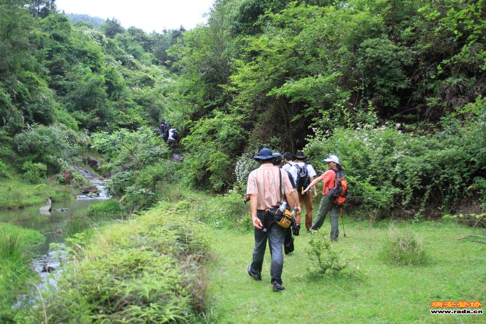 永嘉金坑穿越 115.jpg