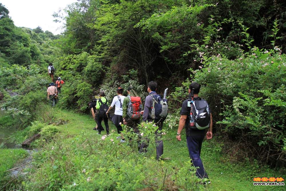永嘉金坑穿越 116.jpg
