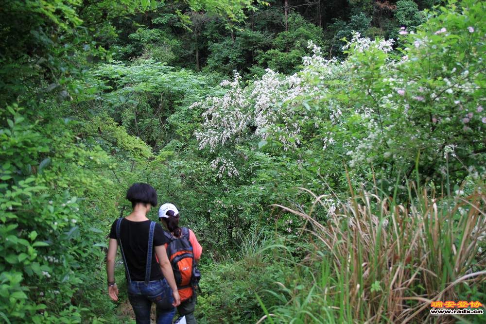 永嘉金坑穿越 118.jpg