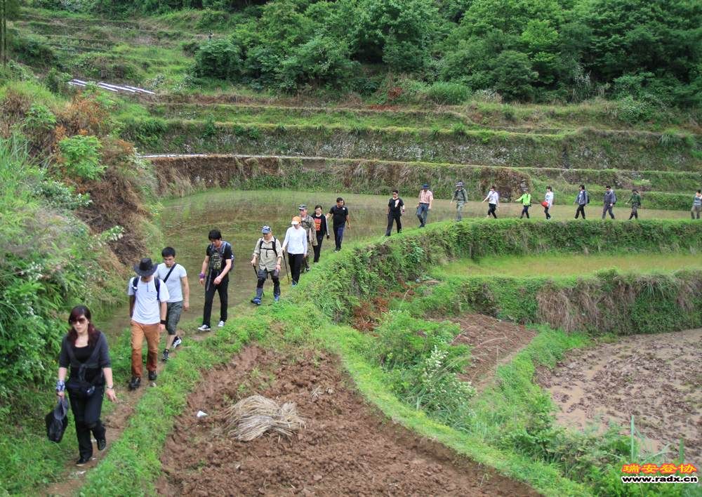 永嘉金坑穿越 136.jpg