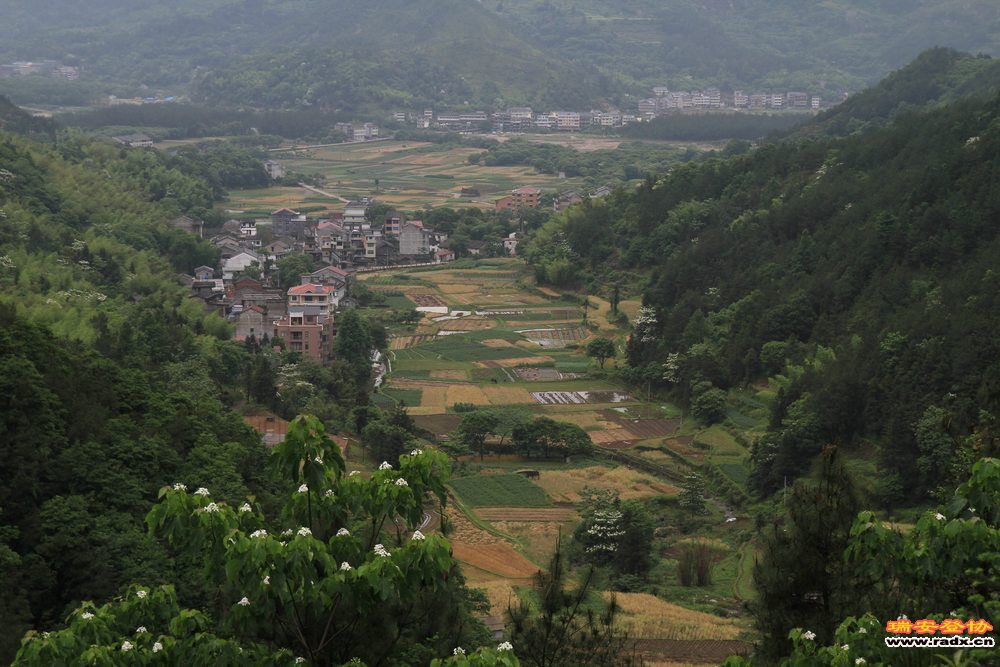 永嘉金坑穿越 150.jpg