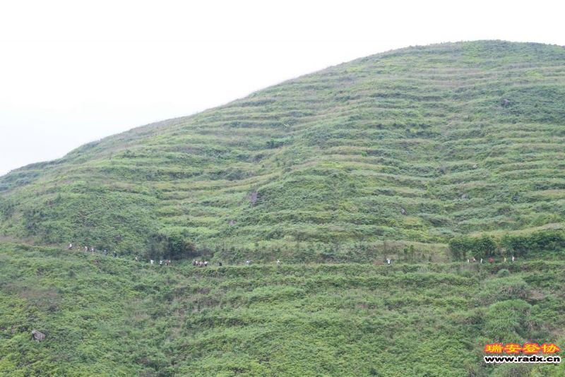 愚溪吴岙 285.jpg