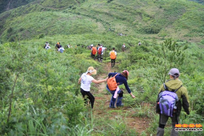 愚溪吴岙 429.jpg