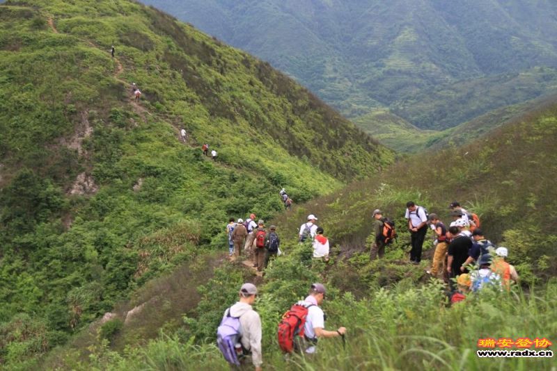 愚溪吴岙 452.jpg