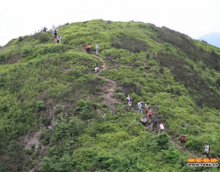 愚溪吴岙 455.jpg