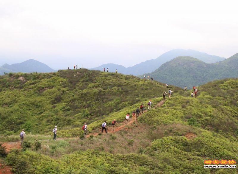 愚溪吴岙 466.jpg