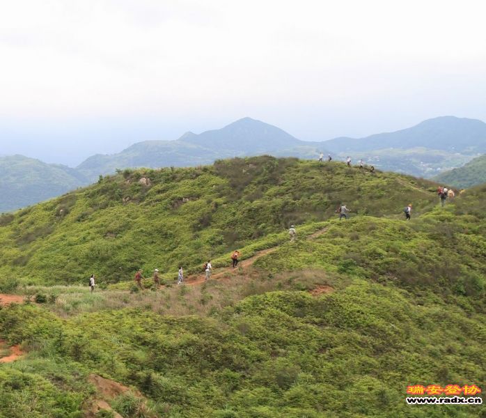 愚溪吴岙 465.jpg