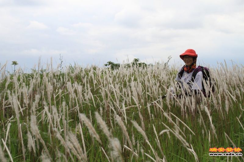 愚溪吴岙 510.jpg