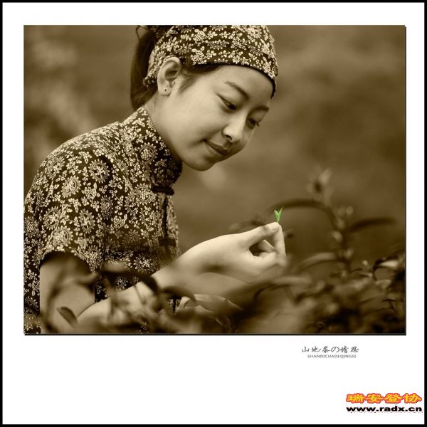 好作品，大家分享！