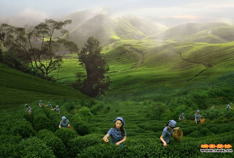 好作品。。。。