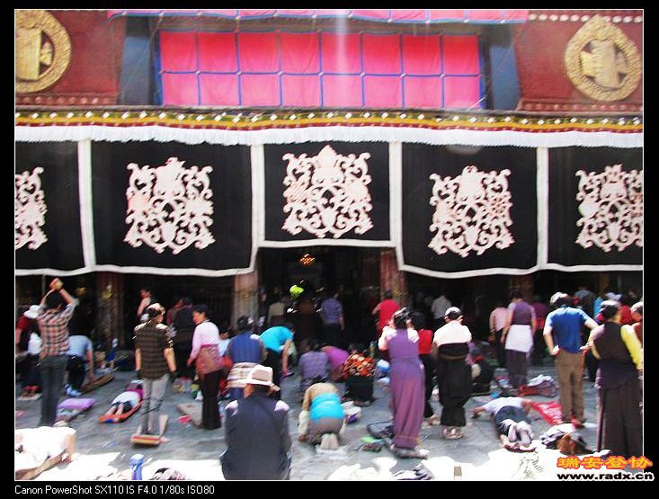 nEO_IMG_复件 IMG_0020.jpg