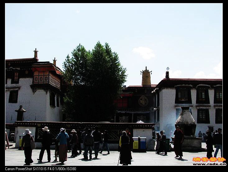 nEO_IMG_复件 IMG_0025.jpg