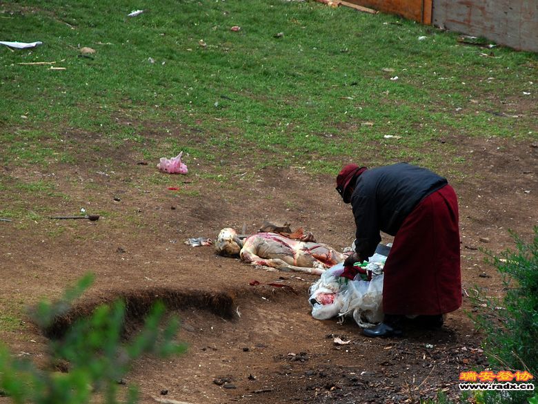 秘境色达-天葬解开尸体.jpg