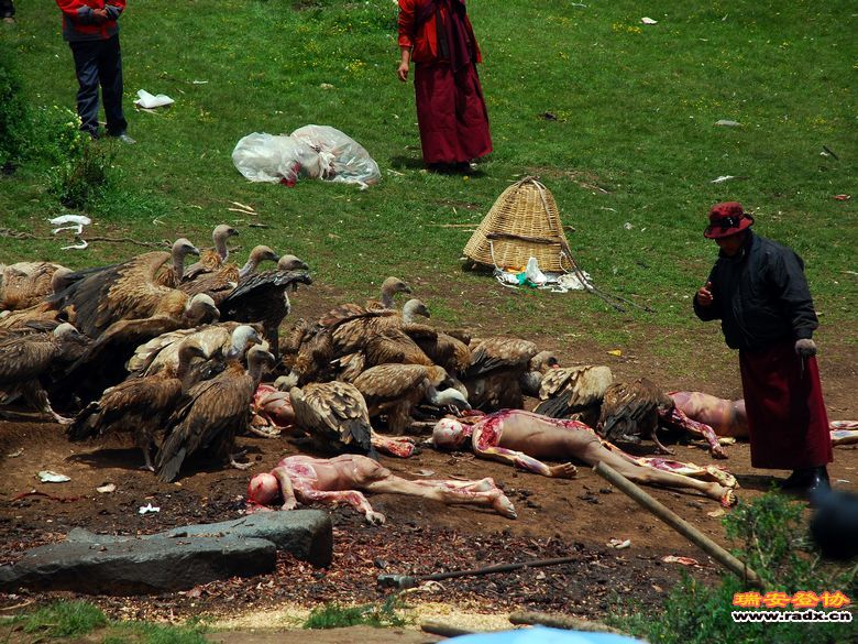 秘境色达-天葬1.jpg