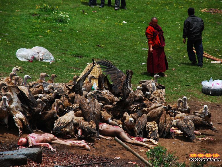 秘境色达-天葬3.jpg