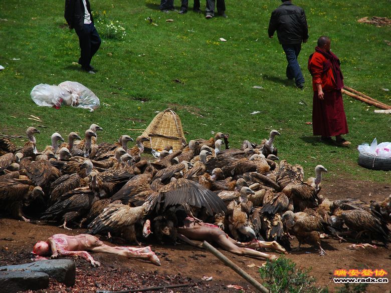 秘境色达-天葬4.jpg