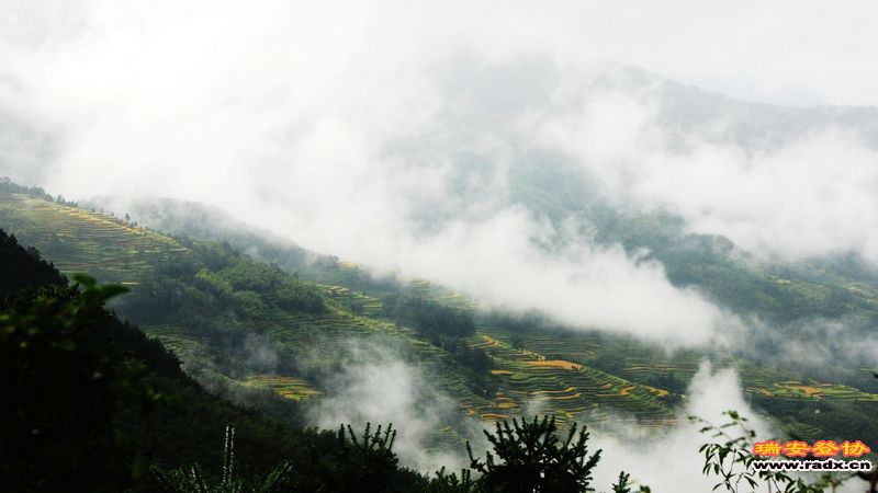 DSC_0097.jpg