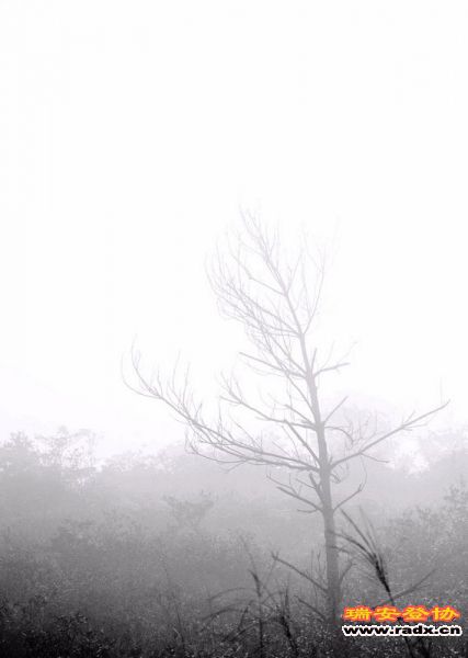 DSC_0170.jpg