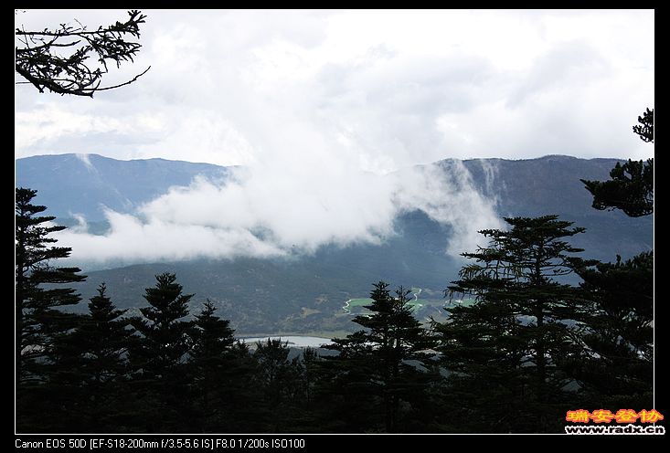 山谷里的风景。