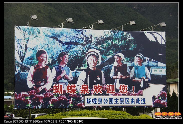 大理蝴蝶泉：五朵金花。