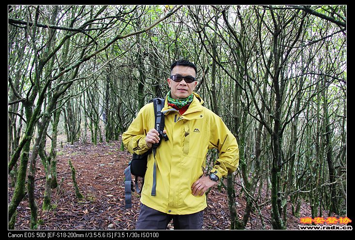 几千亩的杜鹃林，每年5月盛放，场面非常壮观。。