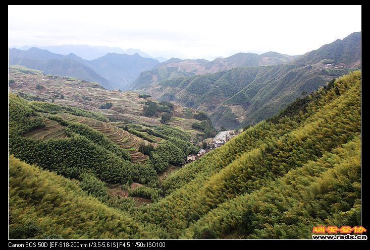 世外桃源--大坑村。