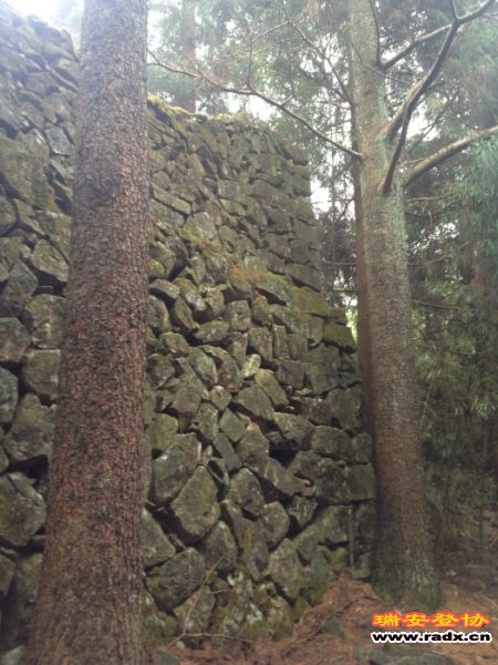 高高的围墙里面是什么呢？