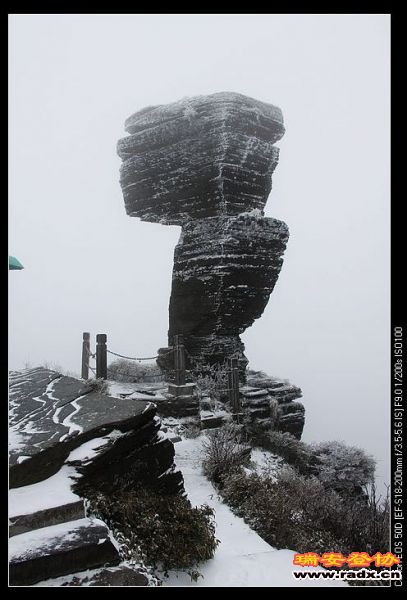 期待中的蘑菇石。