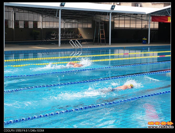 第一项50米男子自由泳开始了。