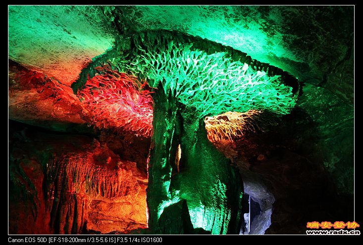 龙伞--镇洞之宝。