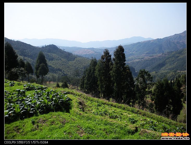 美丽的山区，可爱的家乡。