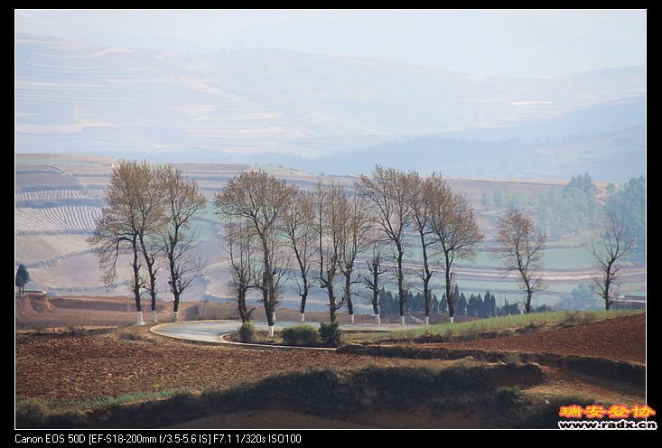 汽车行驶中拍到的景像依然美丽动人。