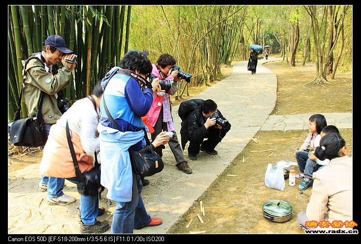 “超级模特”吸引大家拍摄。