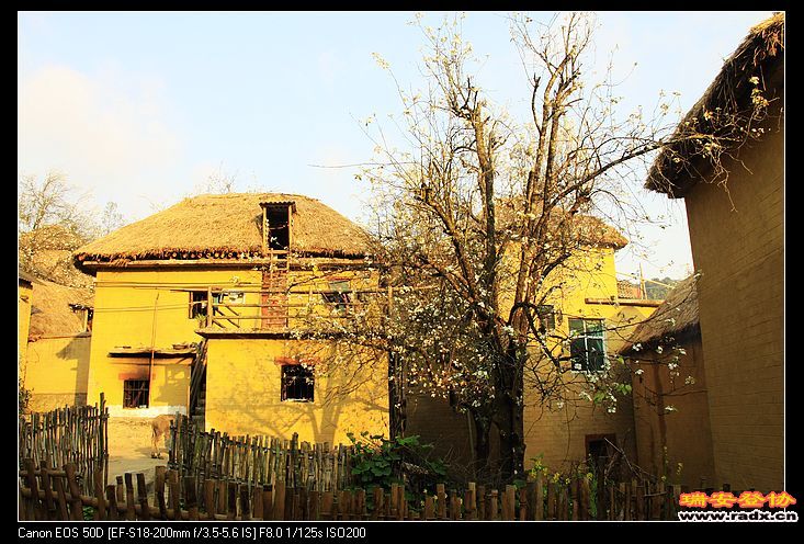 哈尼族村民的传统民房--蘑菇房。